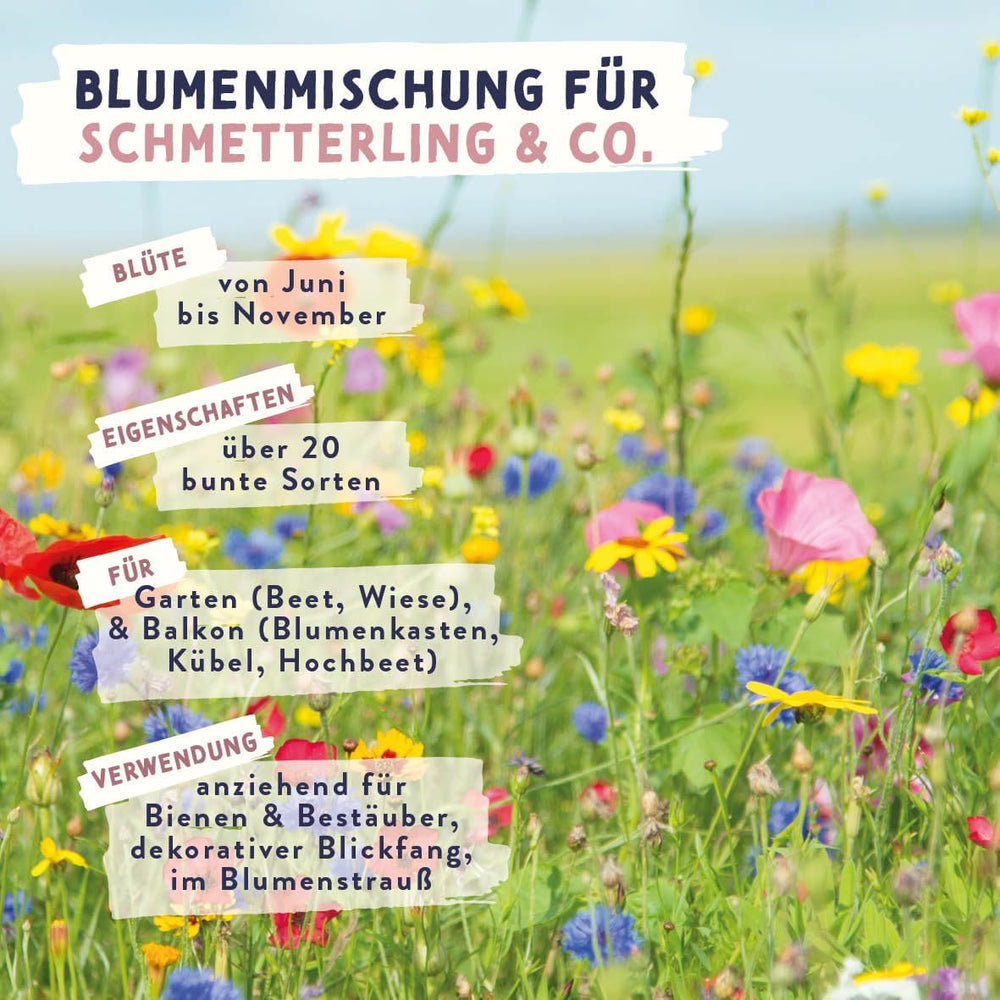 Schmetterlingswiese Blumensamen Schmetterlingsgarten I Blumensamen Balkon I Blumensamen Tütchen mit Wiesenblumen Samen I bienenfreundliche Blumensamen (Schmetterlings-Zauber mini)