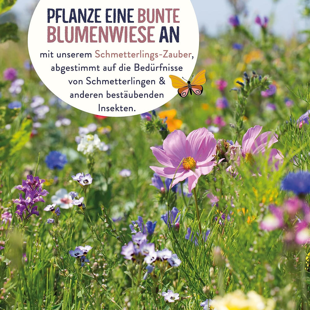 Schmetterlingswiese I 200 G I Blumenmischung Für 200 M² I Blumenwiese Samen Mehrährig Und Einjährig I Wildblumensamen Für Schmetterlinge Und Bienen I Wiesenblumen Samen