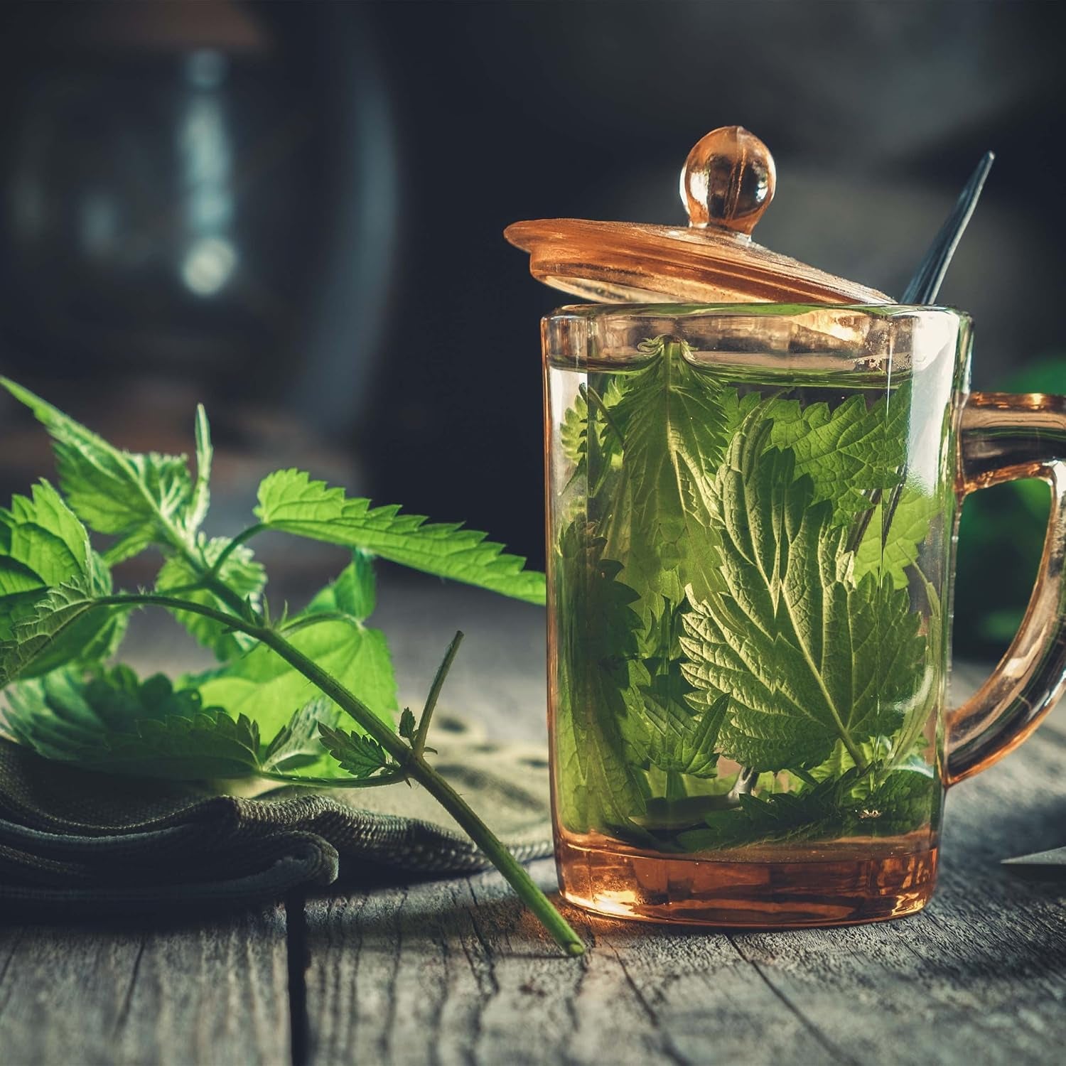 Set de semințe de ceai: 8 varietăți de semințe pentru balcon și grădină – mentă, mușețel, anason, urzică, nalbă – semințe de plante – ceai – cutie de ceai – plante OwnGrown