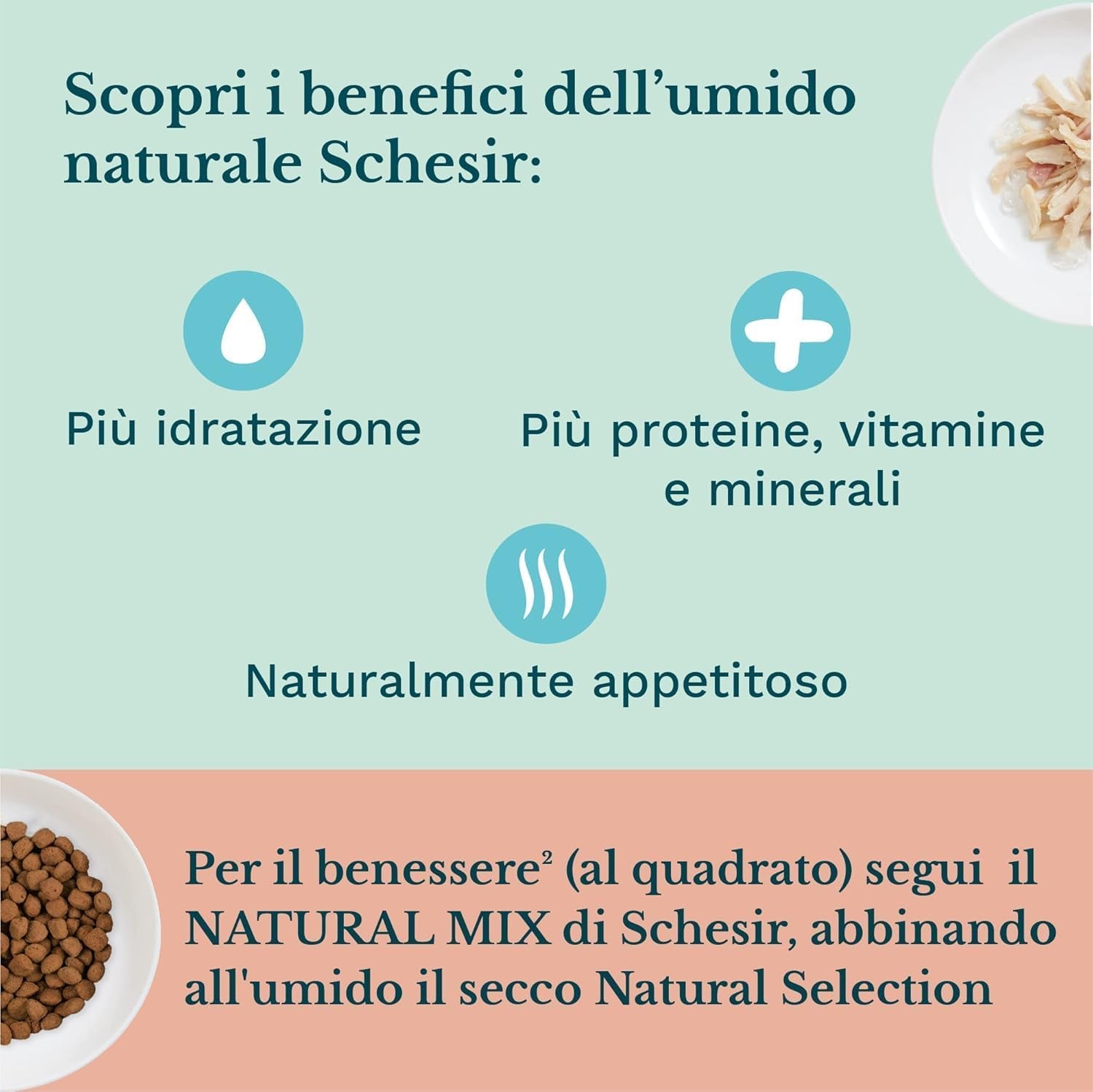 Hrană umedă pentru pisici mici cu cremă de pui și pui - Hrană umedă pentru pisici mici - Hrană umedă pentru pisici cu cremă de pui, fără cereale, cu conținut ridicat de proteine, vitamine și minerale (20 pliculețe x 150 g)