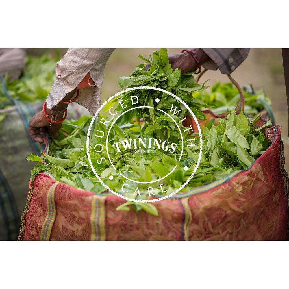 Twinings Earl Grey - Ceai negru în pliculețe, rafinat cu aromă de bergamotă - Ceai negru răcoritor din China, 25 pliculețe (50 g) (pachet cu 4)