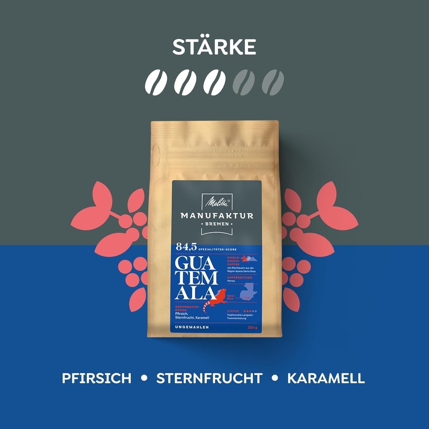 Melitta Manufaktur-Kaffee Guatemala Honig, Spezialitätenkaffee, 250 g, ganze Kaffeebohnen, ungemahlen, Single Origin Kaffee, zarte Trommelröstung, in Deutschland geröstet, Stärke 3 Kaffee Naty Shop