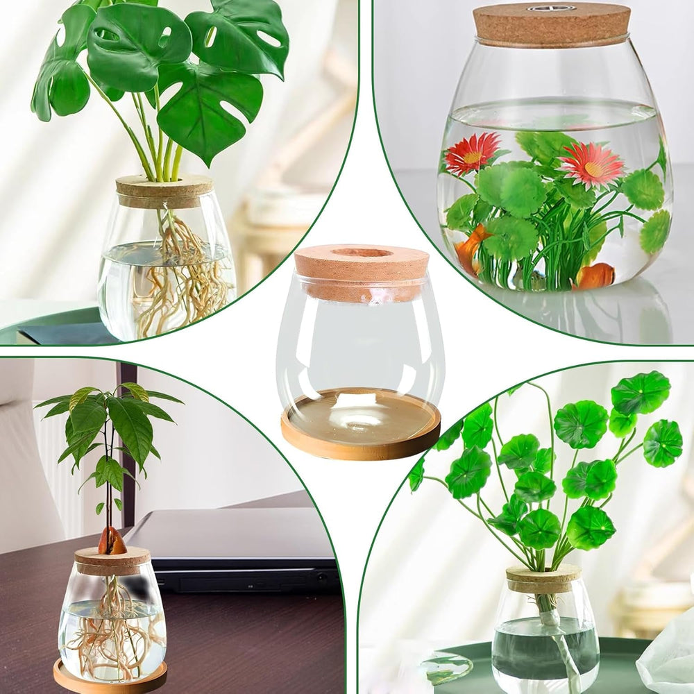 Stație de creștere a plantelor hidroponice, 12 x 11 cm, vază pentru semințe de avocado, ghiveci din sticlă, vază hidroponică din sticlă pentru plante acvatice sau flori, decor de masă pentru birou, 2 bucăți