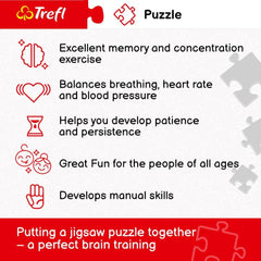 Trefl, Puzzle, Praga, Republica Cehă, 500 piese, Calitate premium, Pentru adulți și copii cu vârsta de peste 10 ani Puzzle Naty Shop