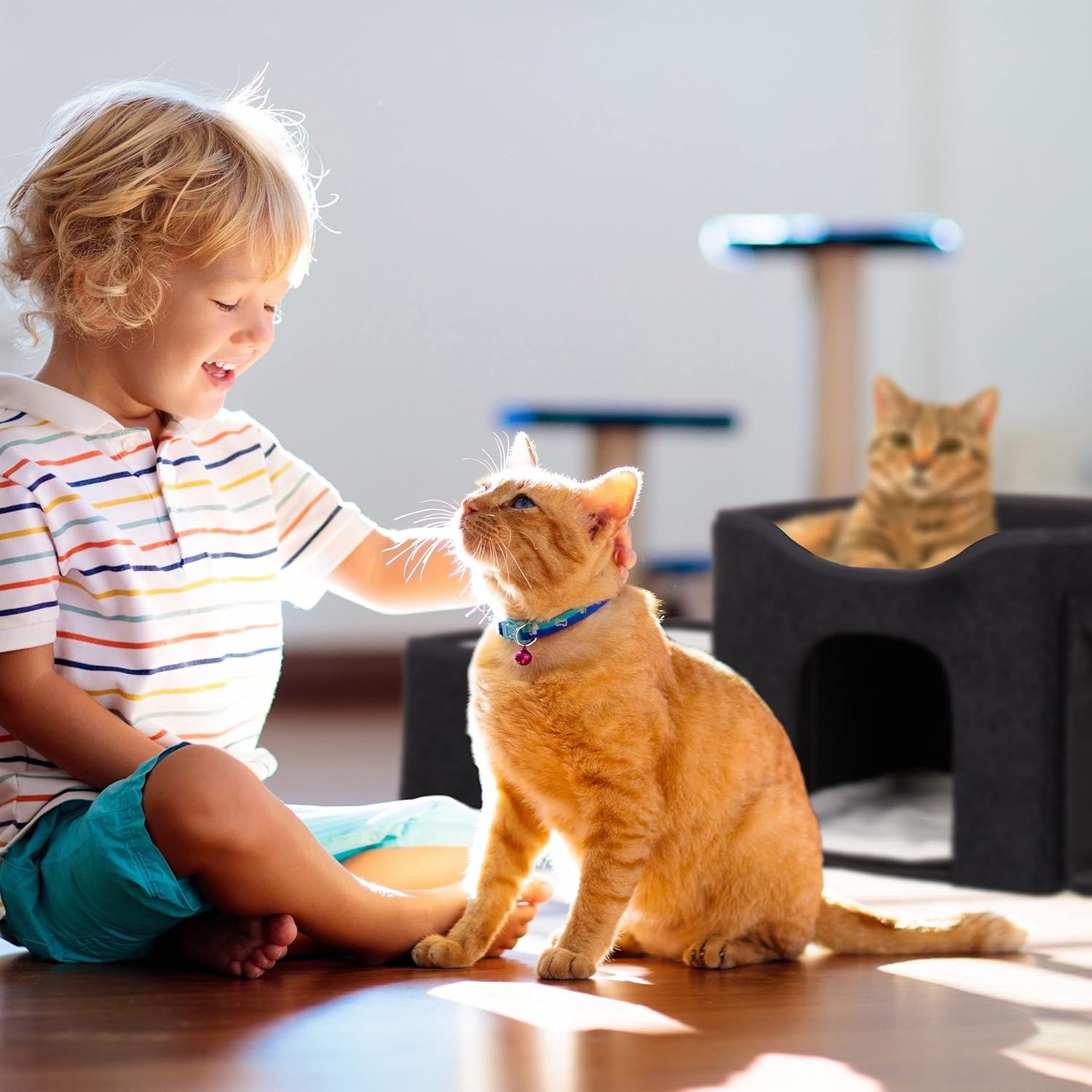 Relaxdays Katzenhöhle, faltbar, 3 Liegeplätze, Katzenhaus mit Kratzfläche, HBT: 36,5x112x41 cm, Katzenversteck, schwarz