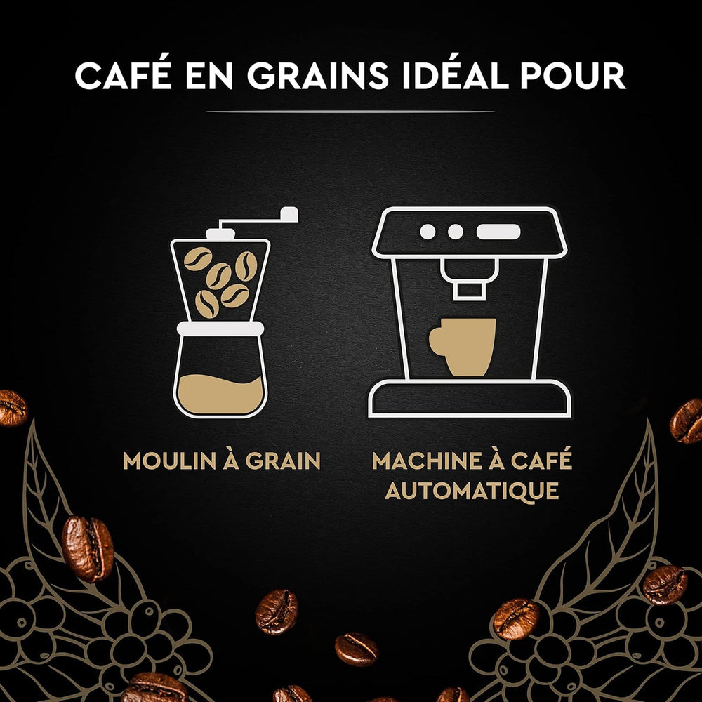 Black Card - Cafea în boabe - Clasică - Arabica pură - Certificată Rainforest Alliance - 2 pliculețe a câte 1 kg fiecare