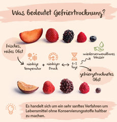 BRIX Cireșe amare liofilizate | Cireșe naturale uscate 105g | Great Taste Award Fructe uscate, Cireșe amare uscate | Fără OMG Fără gluten Vegan Vitaminele sunt conservate Produse deshidratate Naty Shop