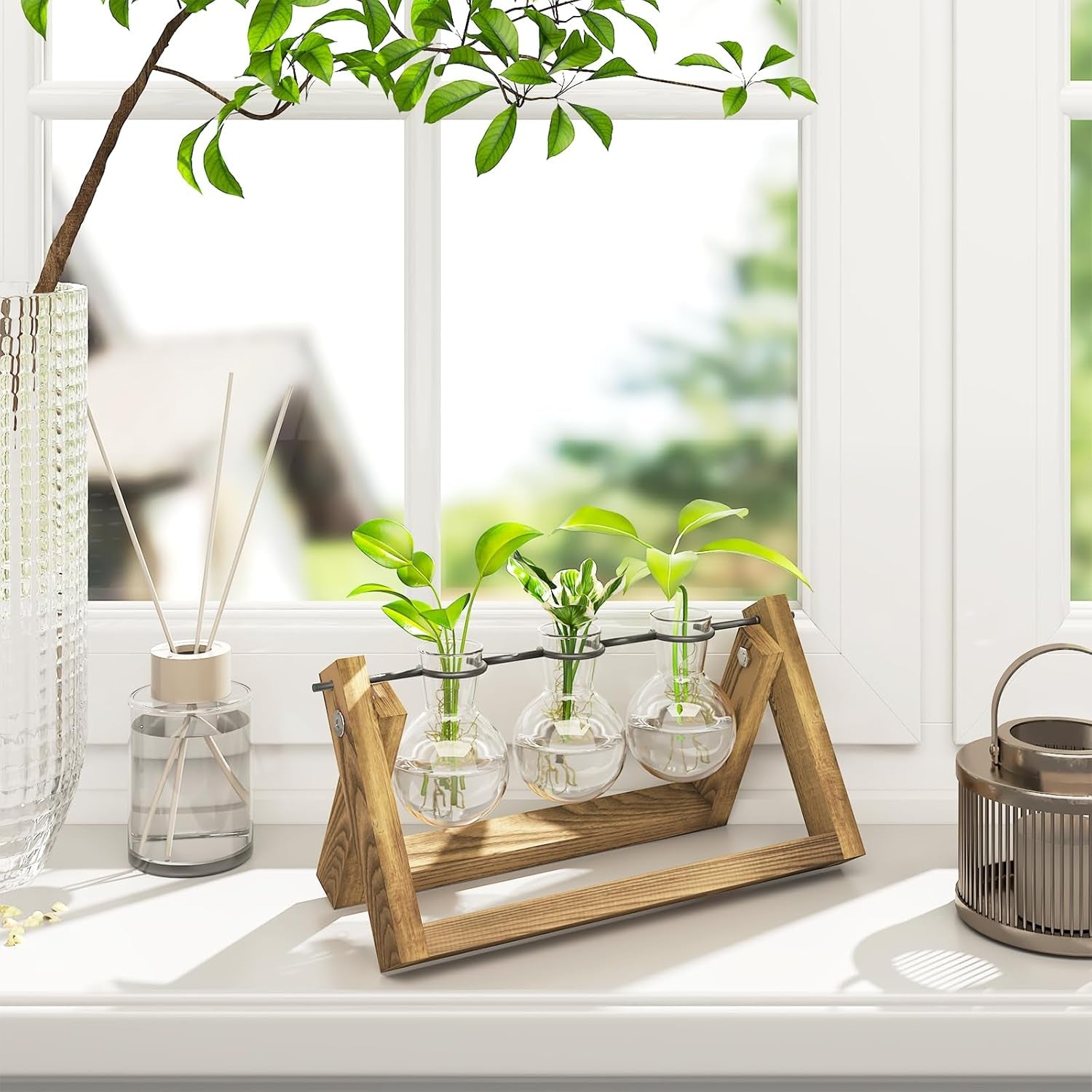 Stație de propagare hidroponică Bamworld cu suport din lemn – 3 vaze din sticlă pentru creșterea plantelor acvatice și decorarea casei