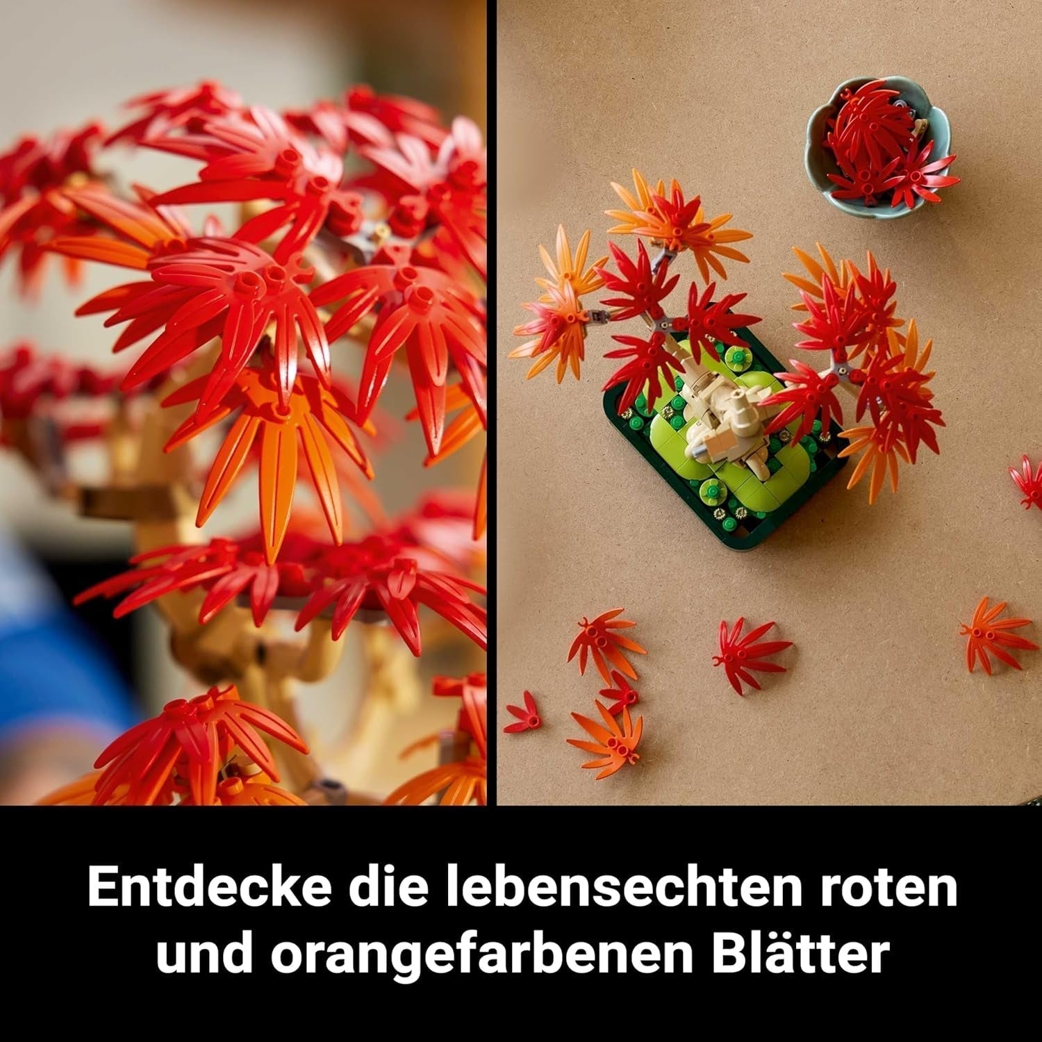 LEGO Botanicals Japanischer Rotahorn – Bonsai-Baum – Kunstpflanzen-Set mit roten und orangefarbenen Blättern, plus Schale – Heimdekoration – Geschenkidee für Erwachsene – 10348 Bausets Besuchen Sie den LEGO-Store