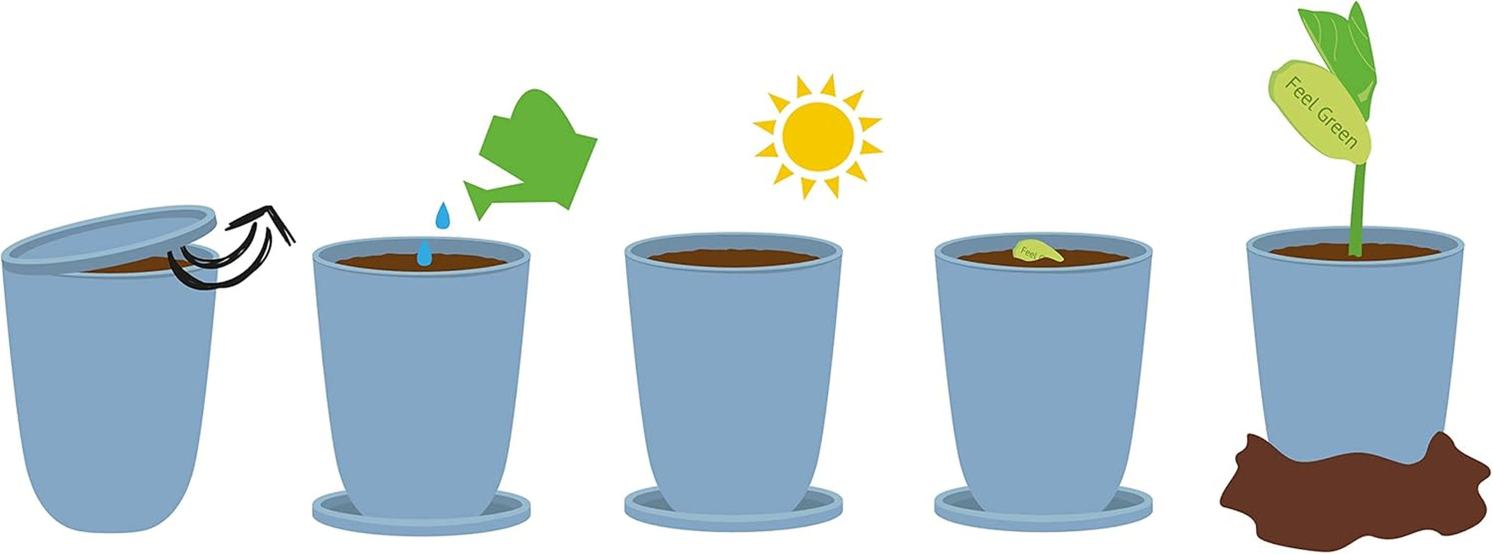 Feel Green Message Bean, Naturdose Mit Lasergravierter Glücksbohne"Danke", Nachhaltige Geschenkidee, 100% Eco Friendly, Anzuchtset, Made in Austria