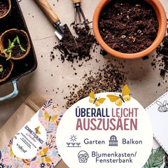 Schmetterlingswiese I 200 G I Blumenmischung Für 200 M² I Blumenwiese Samen Mehrährig Und Einjährig I Wildblumensamen Für Schmetterlinge Und Bienen I Wiesenblumen Samen