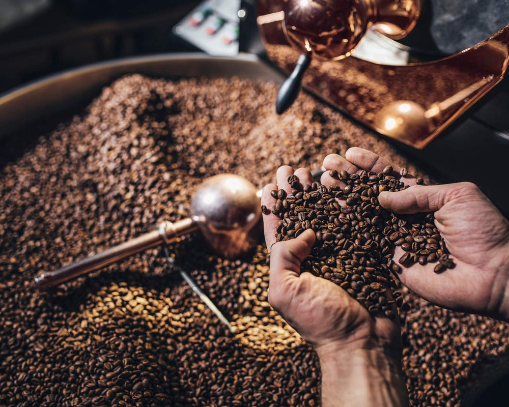 Café Royal Professional Line Bio Espresso – Kaffeebohnen für Vollautomaten, aromatisch, dunkle Röstung, Stärke 4/5, Bio & Fairtrade, 1 kg