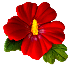 Essbare Dekoration, Hibiskusblüte