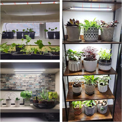 Lampă LED Wiaxulay cu spectru complet pentru plante, 6000K, lumini de creștere cu spectru complet pentru plante de interior cu temporizator de 6/12/16 ore, 5 niveluri reglabile pentru suculente hidroponice, raft pentru plante, 2 bucăți