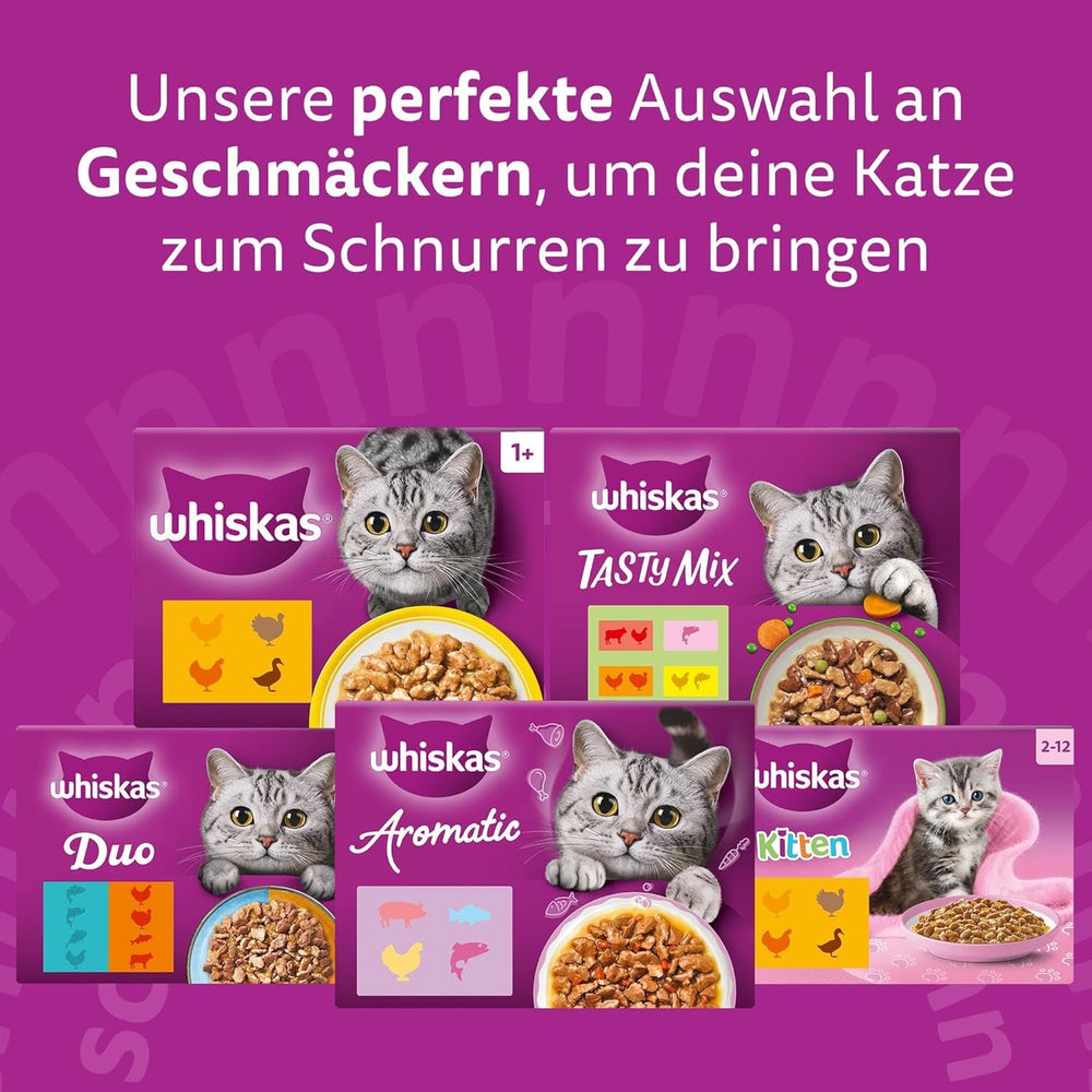WHISKAS Hrană umedă aromatică pentru pisici în sos 40 x 85g Selecție de pește