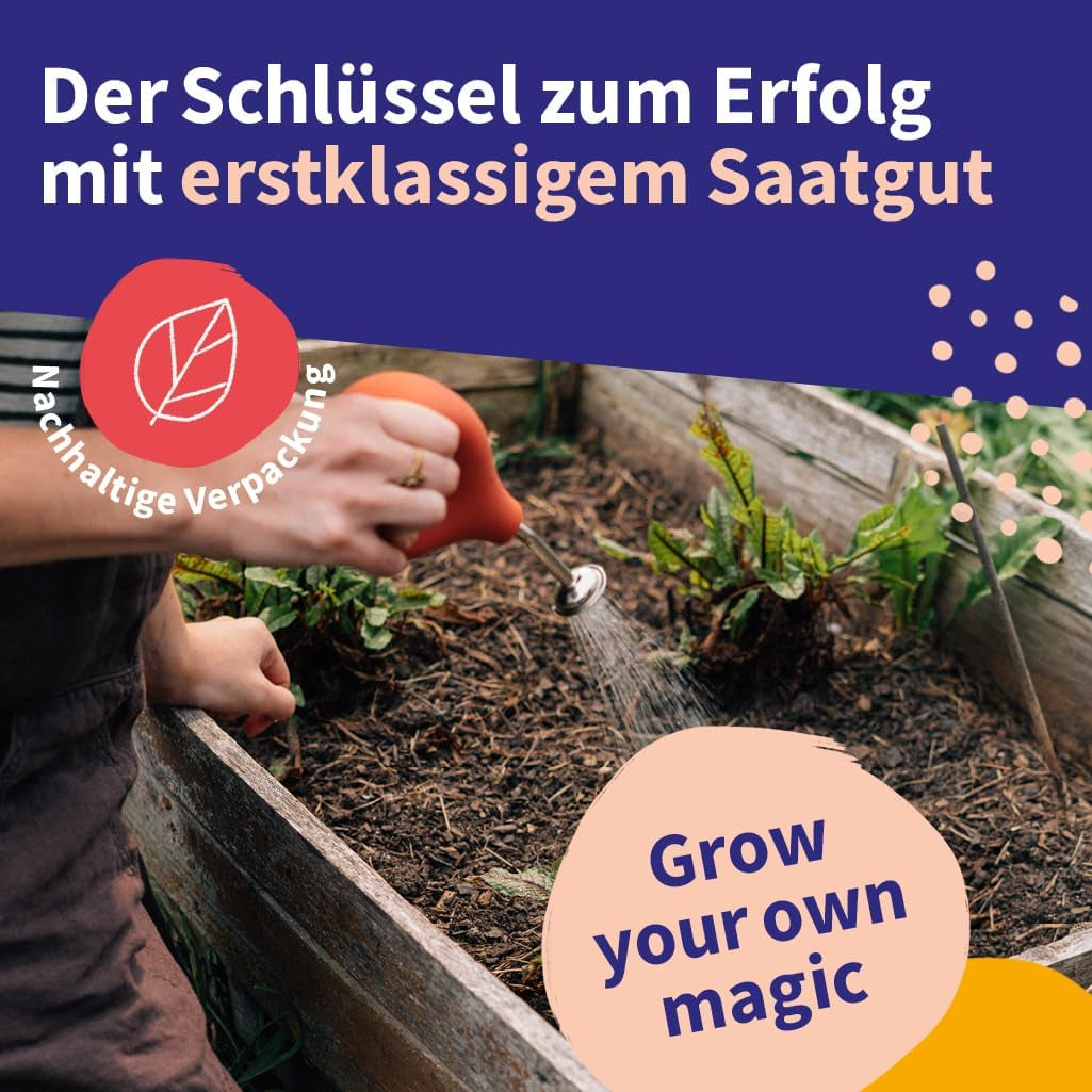 Magic Garden Seeds - 12 Samenfeste Heilkräutersamen Für Garten, Hochbeet & Balkon - Traditionell & Wohltuend - Kräutersamen - Saatgut - Kräuter Samen Set - Geschenk Für Gartenliebhaber