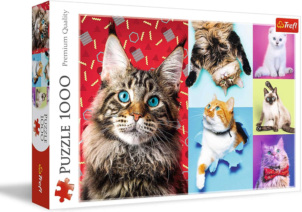 Puzzle Jigsaw - "1000" - Portrete de câini amuzante Puzzle Naty Shop Pisici amuzante