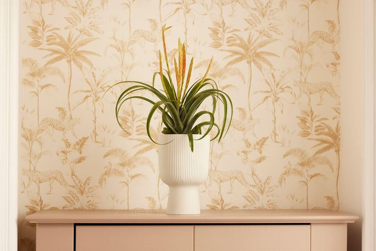 Ghiveci elho Vibes Fold Coupe 14 - Ghiveci de flori de interior - Plastic 100% reciclat - Ø 13,9 x H 21,0 cm - Alb/Alb mătăsos