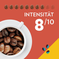 Lavazza, Tales of Roma, Kaffeebohnen, ideal für Espressomaschinen, mit Aromanoten von Haselnuss und dunkler Schokolade, Arabica und Robusta, 250 Gramm Coffee Naty Shop