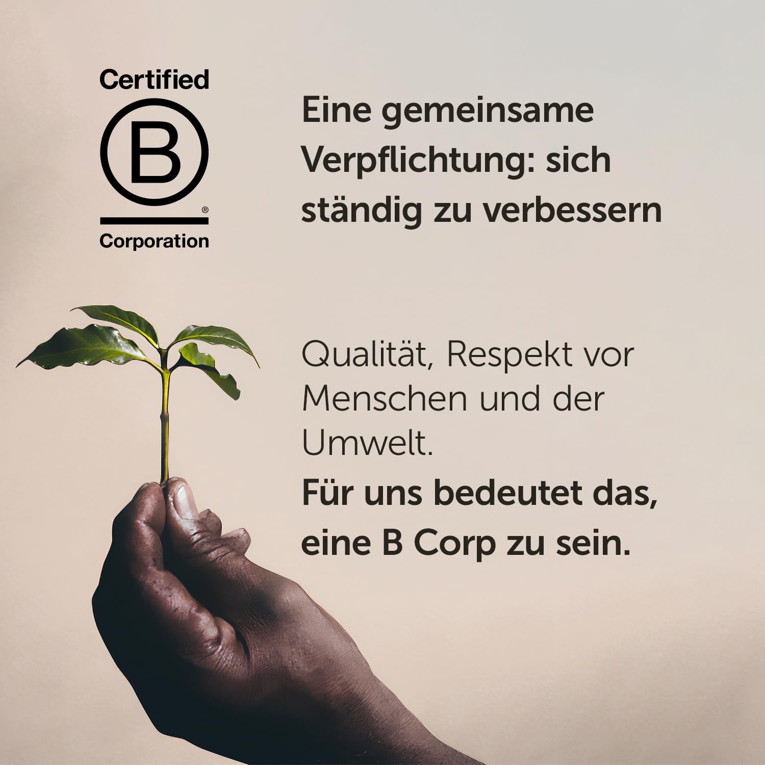 illy Kaffee, Kaffeebohnen Entkoffeiniert - Dose zu 250 g (Packung mit 2)
