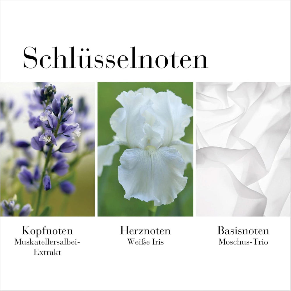 Elizabeth Arden - White Tea, Körpercreme, mit weißem Teegeschmack, 400 ml Kosmetik und Schönheit Naty Shop