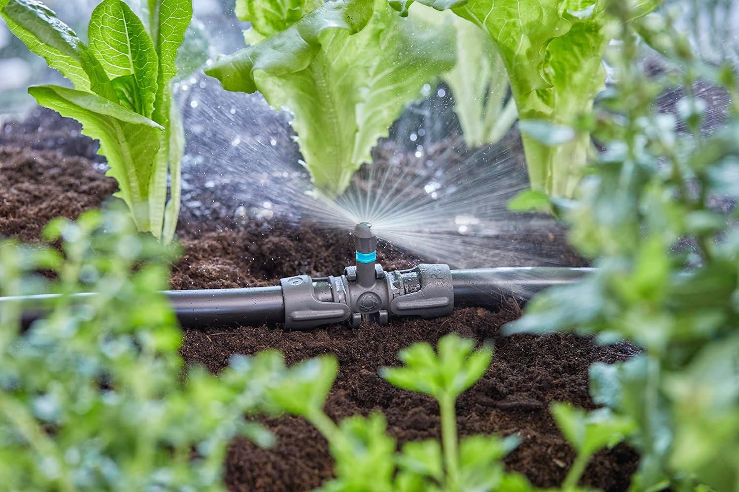 Piesă în T Gardena Micro-Drip-System pentru duze de pulverizare: Conectare între țevi de 13 mm și o duză de pulverizare, udare automată a plantelor, tehnologie de conectare rapidă și ușoară, reutilizabilă (13206-20)