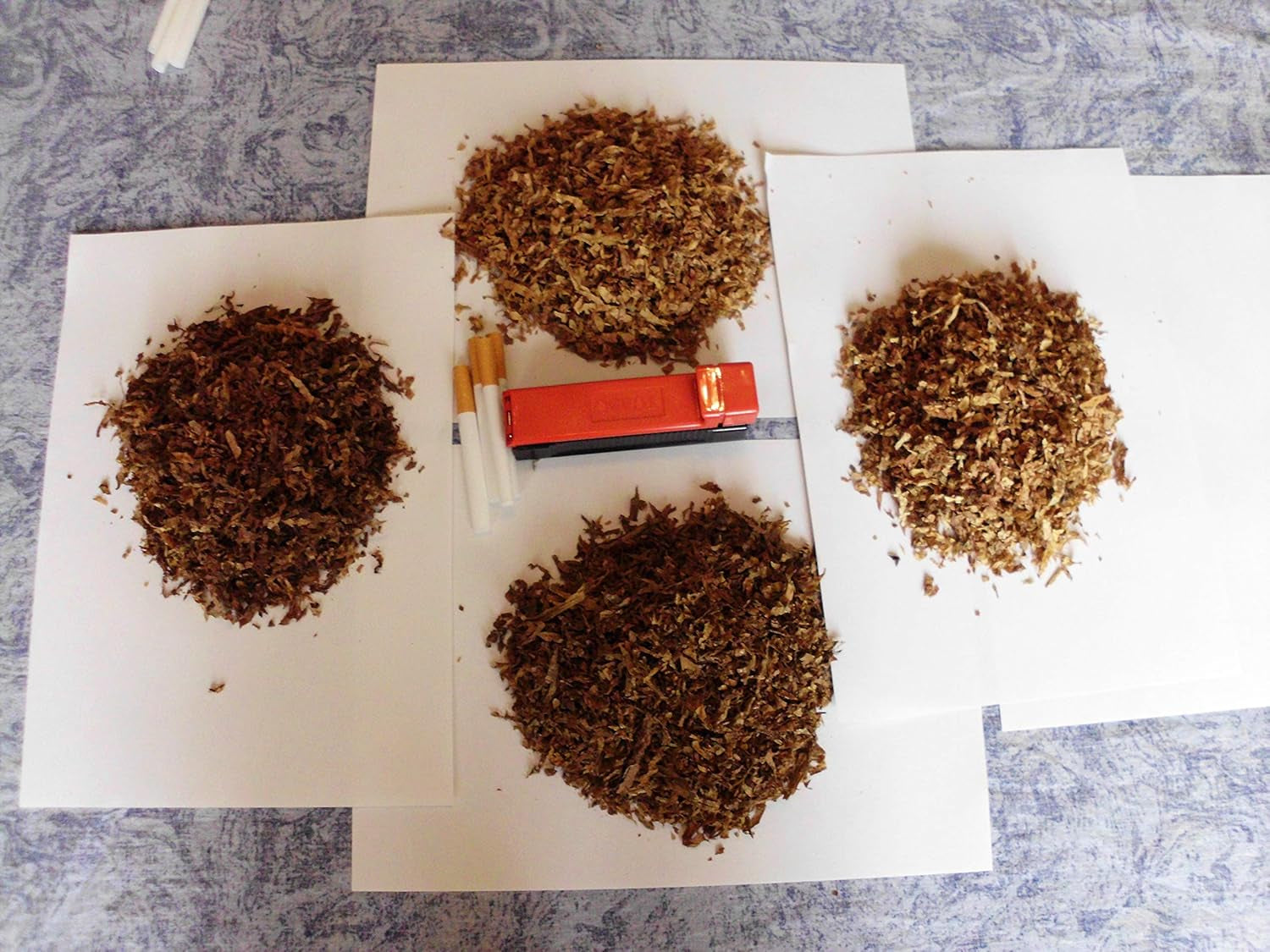 Semințe de tutun 5x1000 Tutun de fumat autentic 5 soiuri Virginia, Red Front, Orient Xanthi, Baden Geudertheimer Fresh. Recolta 2025