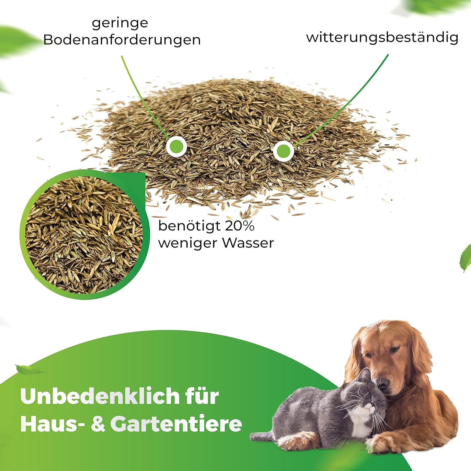 Greenyp® Sunny I Dürreresistenter Trockenrasen I 0,2Kg Für 10M² I Grassamen Rasensamen Rasensaat Gras Nachsaat Schnellkeimend