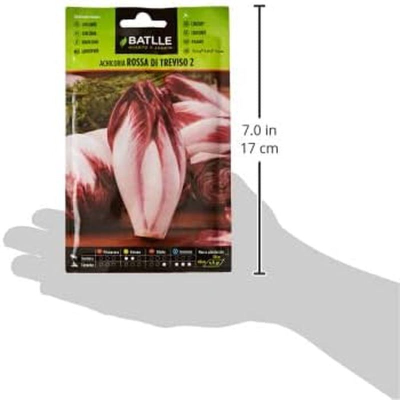 Batlle Gemüsesamen - Chicoree Radicchio Rossa Di Treviso (3200 Samen)