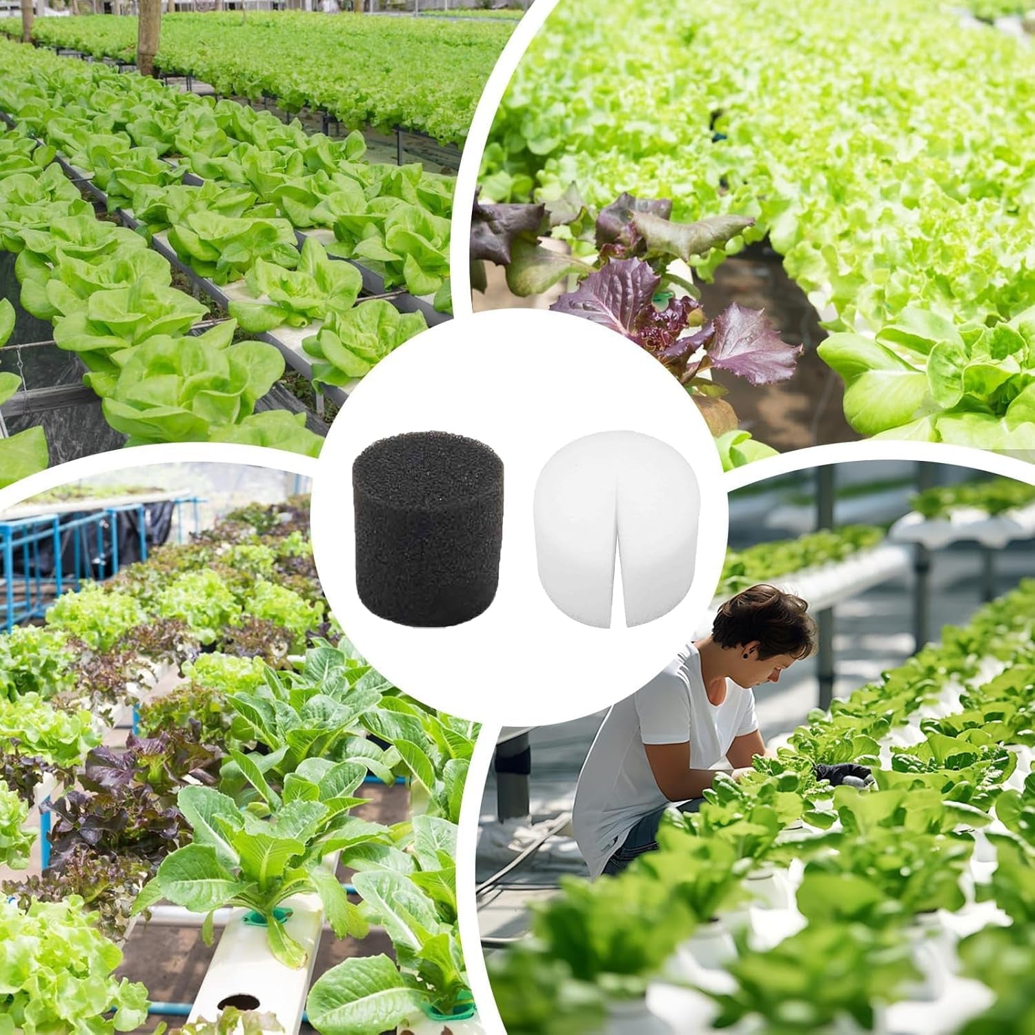 50 de bucăți de bureți hidroponici de 32 * 30 mm, propagare din vată de rocă, sistem hidroponic, bloc de burete de propagare, bureți de răsaduri, sistem hidroponic de seră, pentru cultivarea răsadurilor de legume și flori