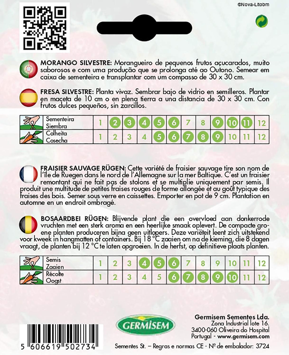 Erdbeere RÜGEN (Packung Mit 2)