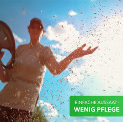 Magic of Nature 800gr. Blumensamen Mischung - Bienen Paradies - Blühfreudige Bienenweide für 150 bis 250 m²