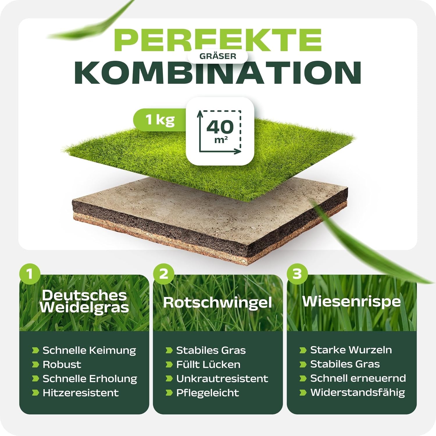 SEHR GUT Getestet | Rasensamen Schnellkeimend 1Kg Für 40M² | Frühjahr Sport Und Spiel Rasen | Grassamen Trockenresistent Für Rasensaat Und Nachsaat