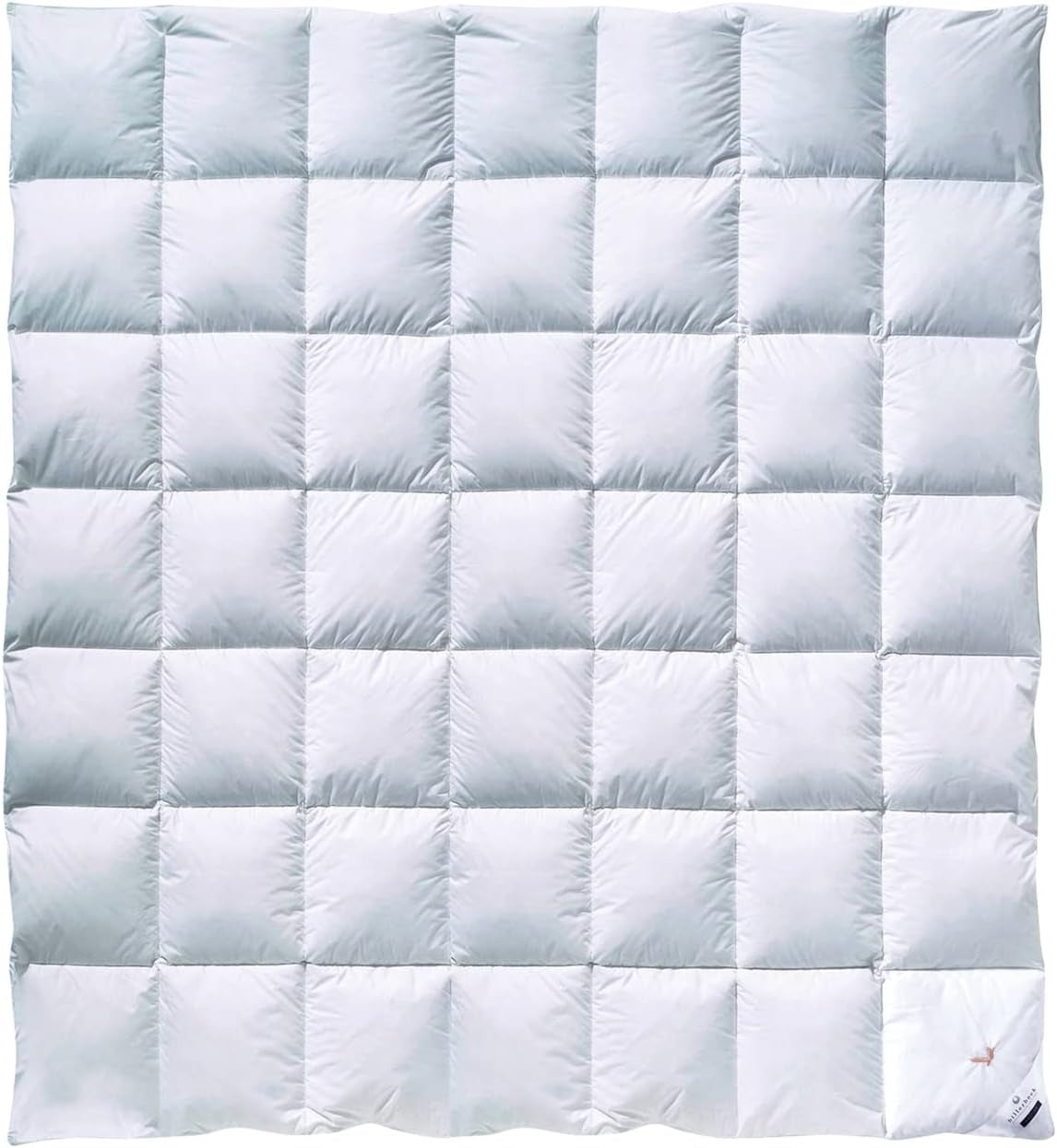 Billerbeck Daunendecke – E04 Gold Edition – Ganzjahresbettdecke – 135 x 200 cm echte Daunendecke – mittlere Wärme Naty Shop Bettdecken und Steppdecken Medium (M) 200 x 200 cm