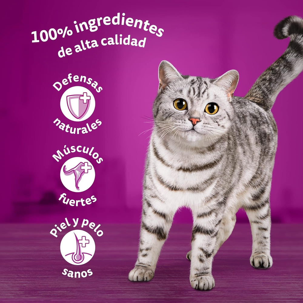 Whiskas Nassfutter für ausgewachsene Katzen, Fischauswahl in Gelee (Multipack, 4 x 12 x 85 g)