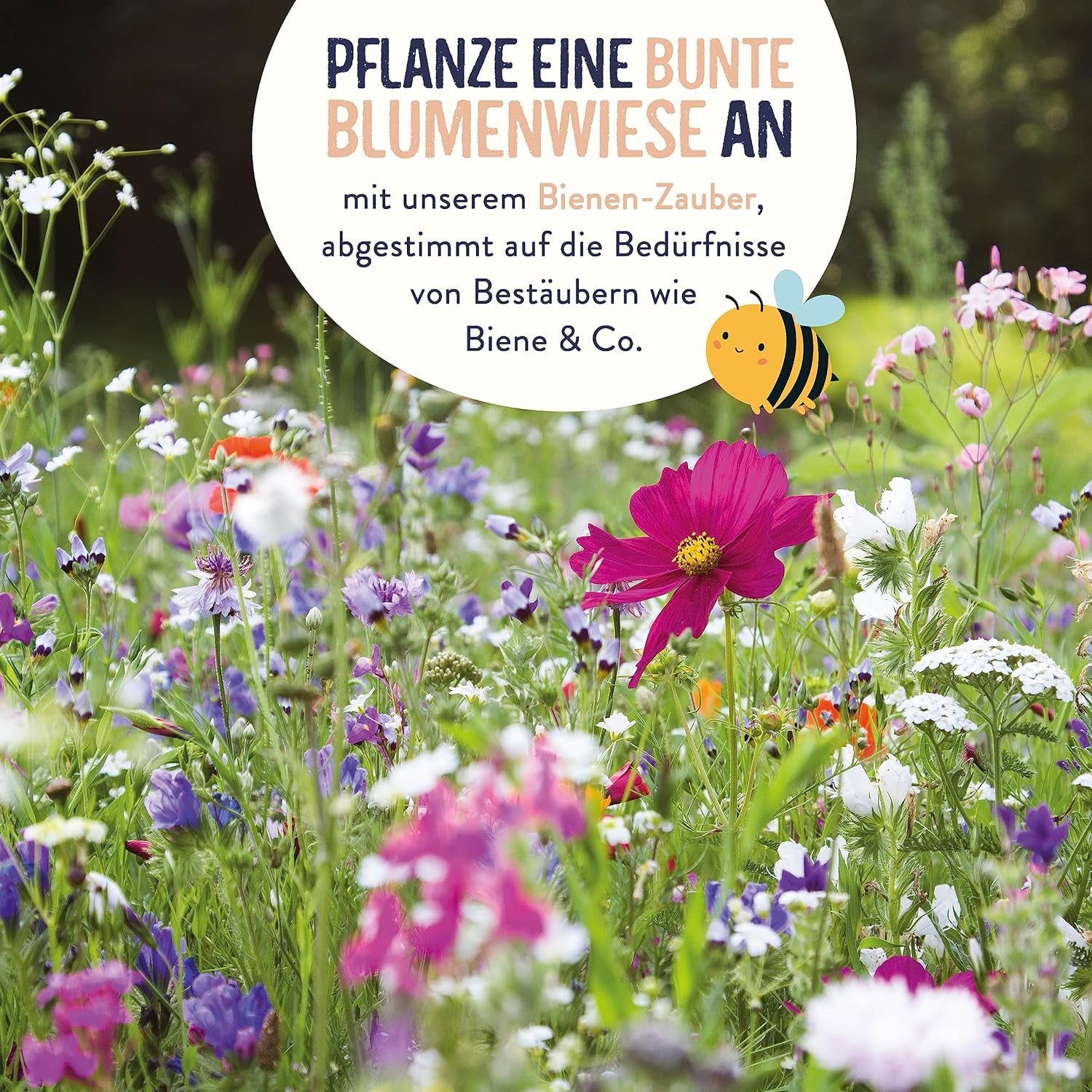 Blumensamen I 100G I 100M² Samen Mehrjährig Und Einjährig I Samen Für Bienen Blumenmischung I Wildblumensamen Für Balkonblumen Und Wildblumen I Bunte Bienenweide