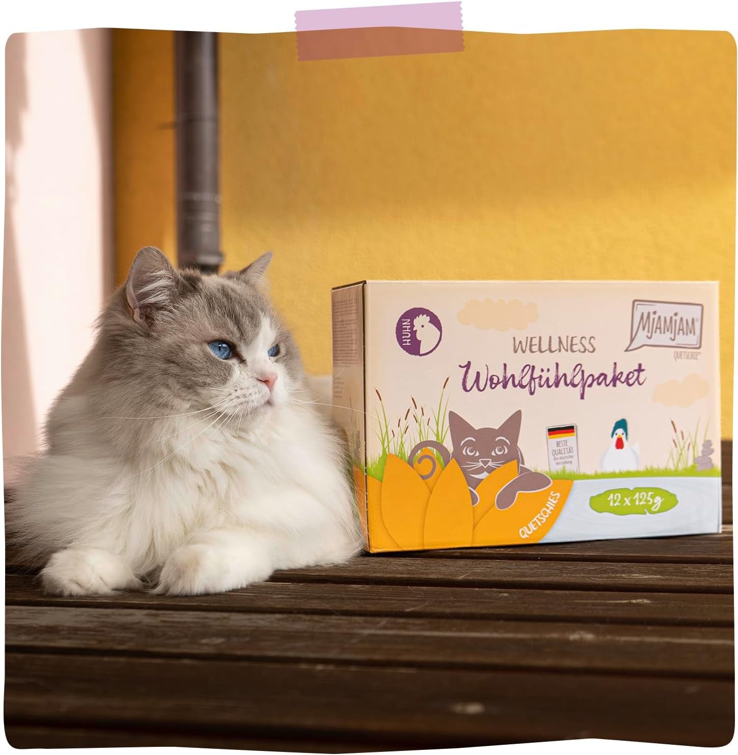 MjAMjAM – Hrană umedă premium pentru pisici - Pachet Wellness cu pui, pachet de 12 (12 x 125 g), fără cereale cu carne suplimentară