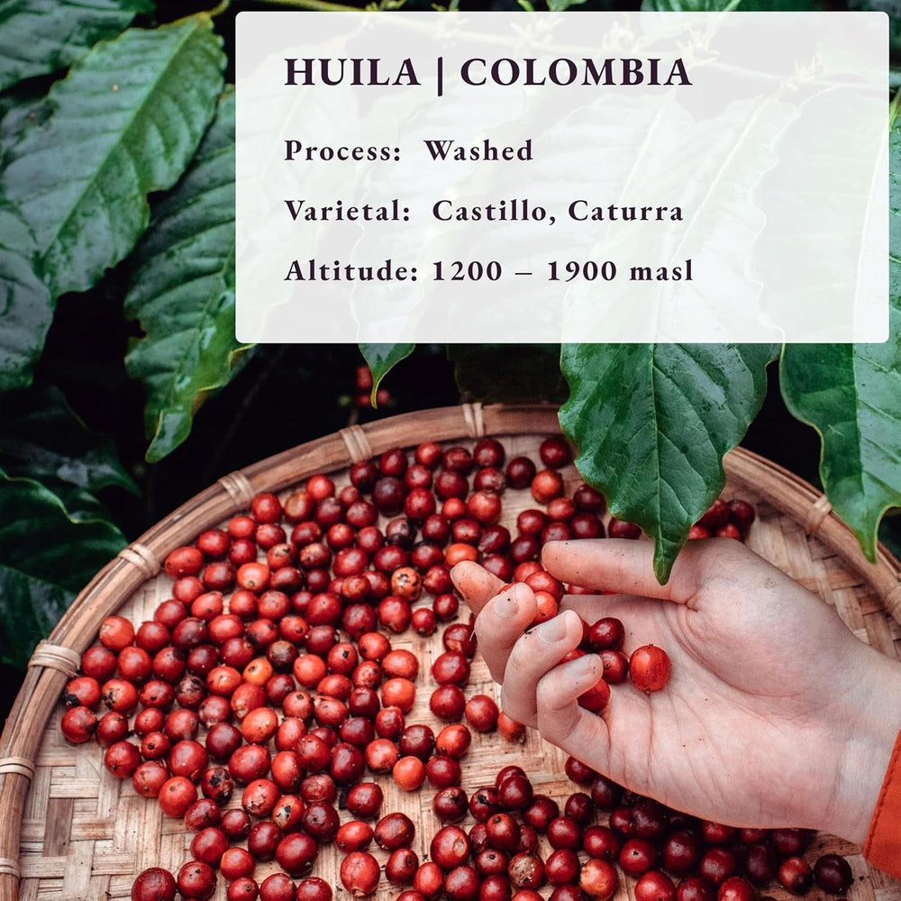 Roasted After Order ~ Freshest Specialty Coffee Beans | 80 CUP Roastery | Colombia Huila, Single Origin(1kg) Spezialitäten Kaffeebohnen, Frisch Geröstet