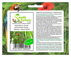Stk - 10X Asplundia Sp. Escudo Ziersträucher Garten Pflanzen - Samen ID636 -