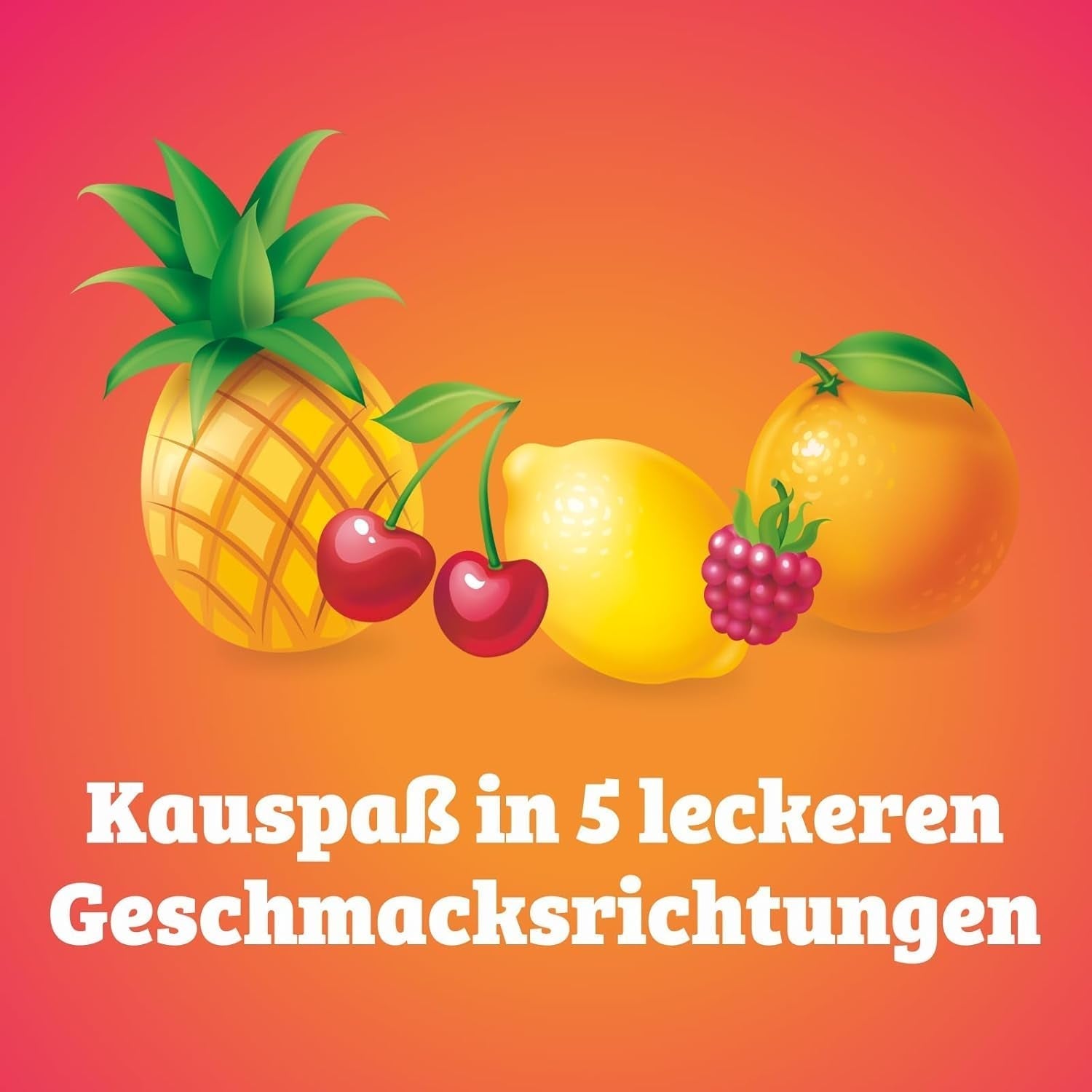 Kaufrüchtchen – 1 x 425G – Karamellbonbons mit fünf Fruchtgeschmacksrichtungen Naty Shop