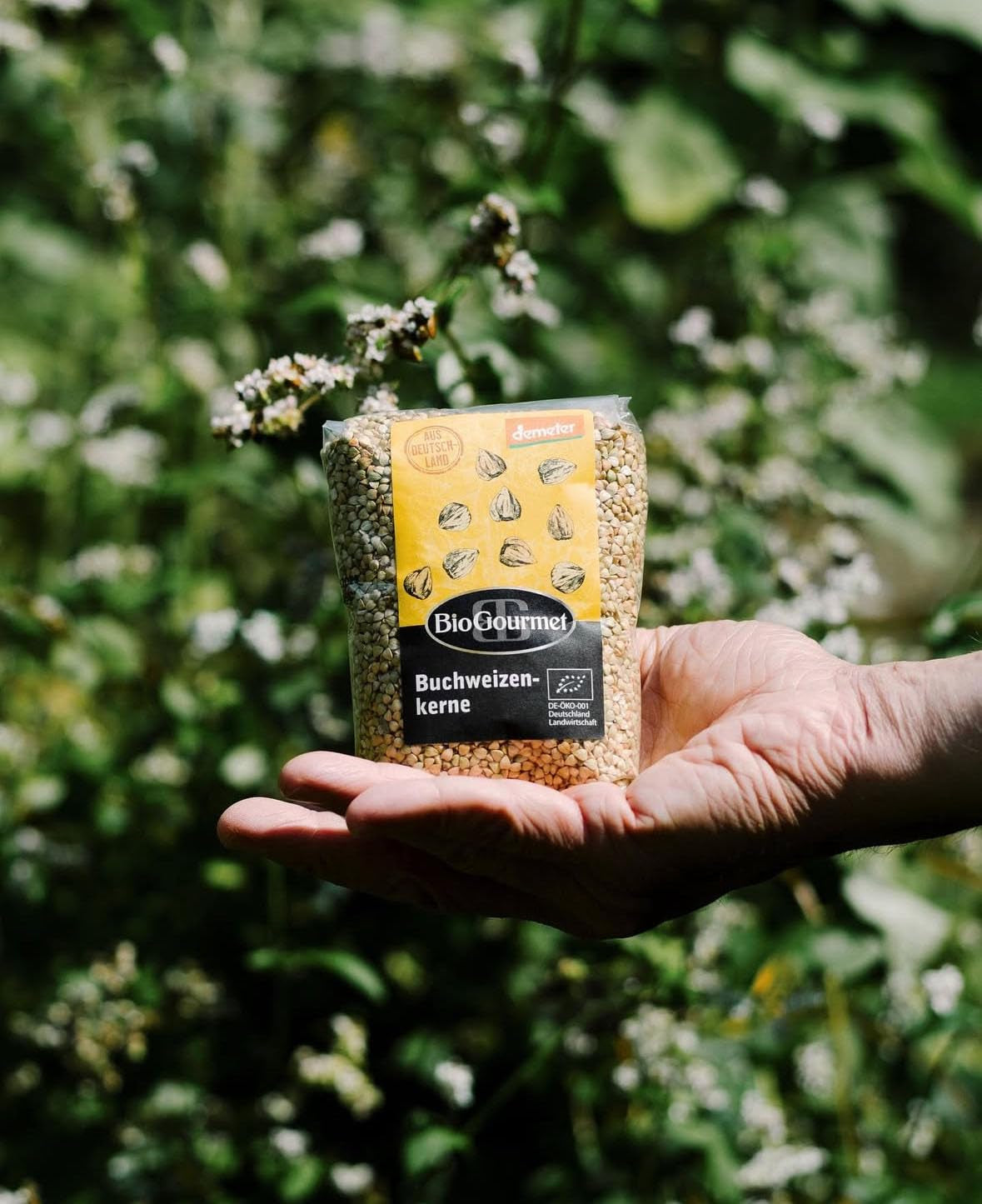 Buchweizen BioGourmet Demeter – 500g Beutel | Glutenfrei, ballaststoffreich und regional | Aus deutschem Bio-Anbau (Baden-Württemberg/Bayern) | Ideal für Müsli, Salate und Beilagen