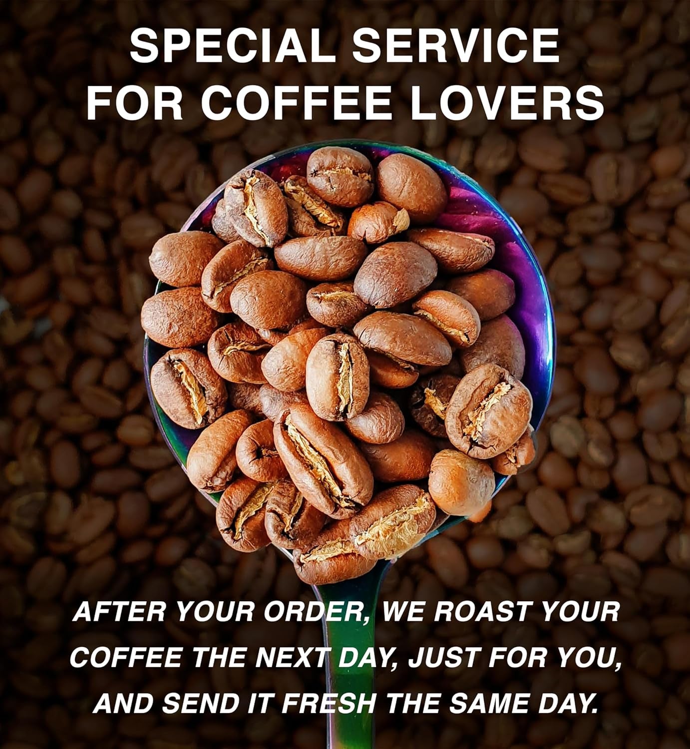Roasted After Order ~ Freshest Specialty Coffee Beans | 80 CUP Roastery | Ethiopia Yirgacheffe, Single Origin(1kg) Spezialitäten Kaffeebohnen, Frisch Geröstet
