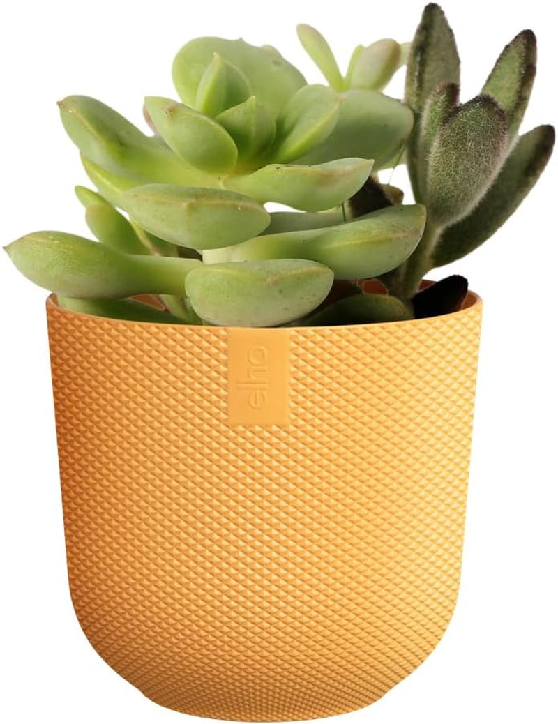 elho Jazz Round Mini 7cm - Ghiveci de flori de interior - Plastic 100% reciclat - Ø 7 x H 6,5 cm - Galben/Chihlimbar