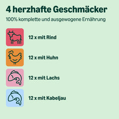 Hrană umedă pentru pisici adulte de la Amazon, selecție mixtă în sos, 4,8 kg (48 pachete x 100 g)