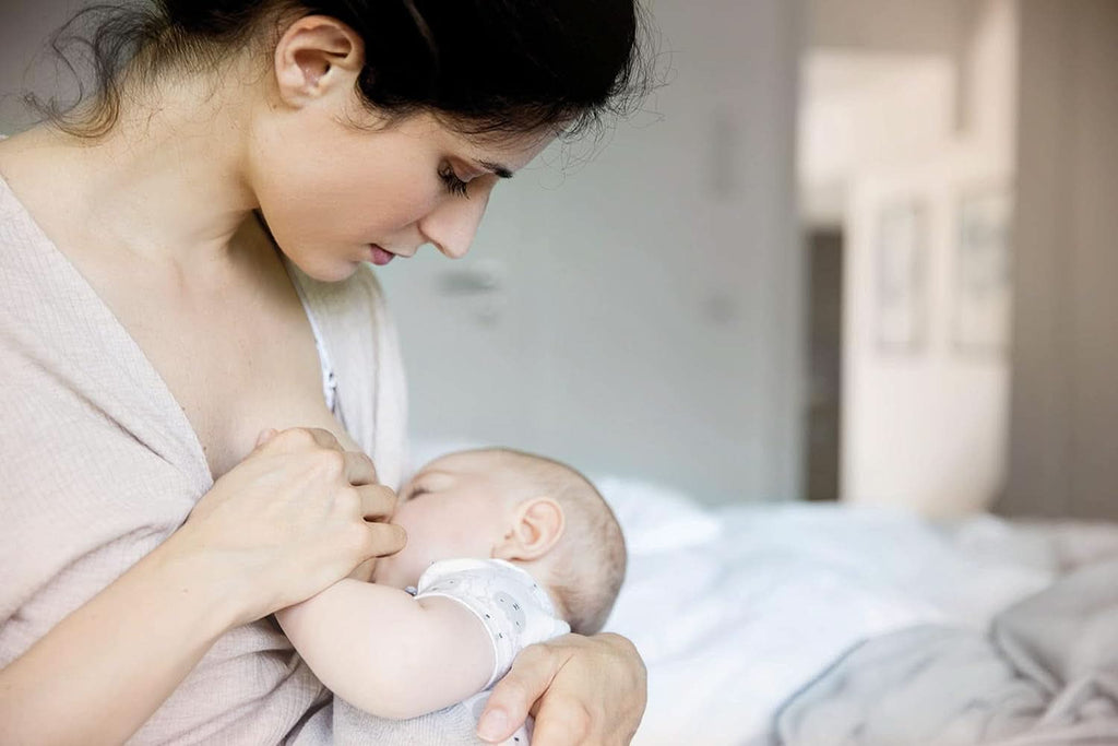 Nip® First Moments scuturi pentru mameloane, 2 bucăți Accesorii Hrana si Alaptare Bebe Naty Shop