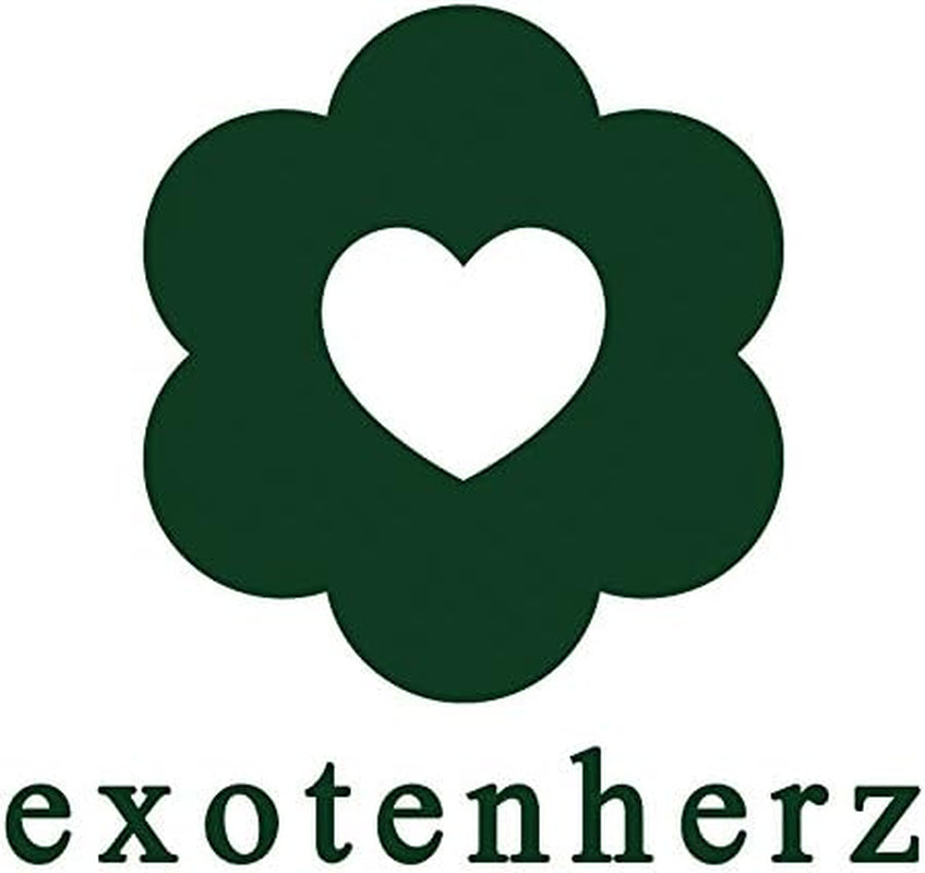Exotenherz - Bonsai Chinesische Ulme - Ulmus Parviflora - Ca. 6 Jahre