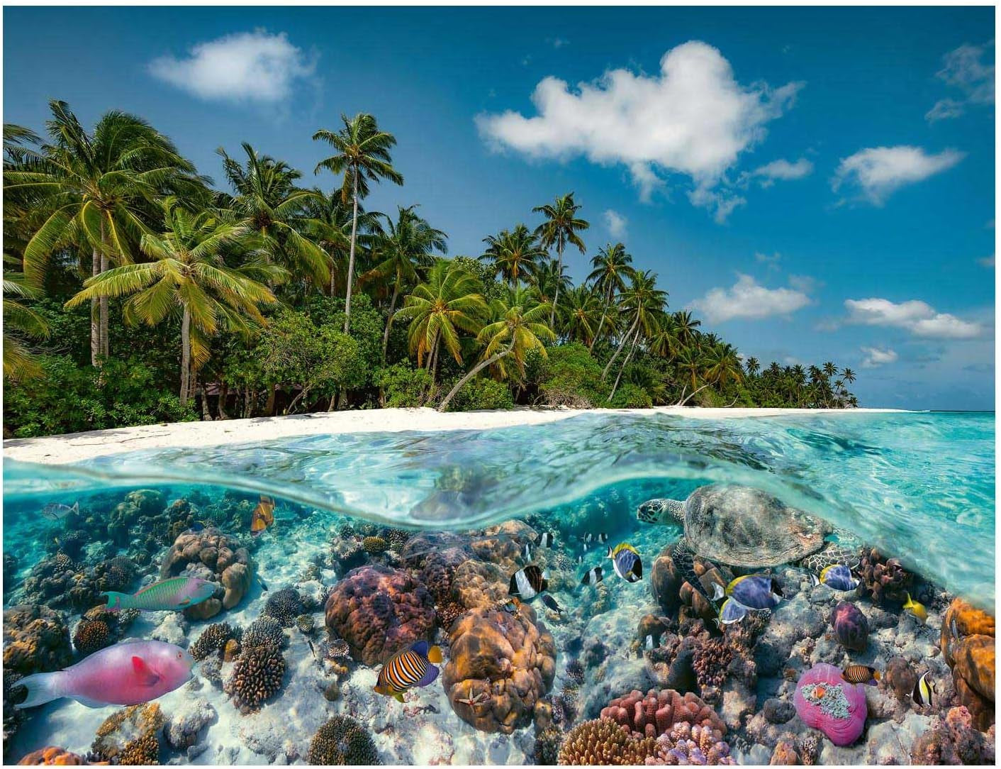 Ravensburger Puzzle 17441 O scufundare în Maldive - Puzzle de 2000 de piese pentru adulți și copii de 14 ani și peste Puzzle Naty Shop