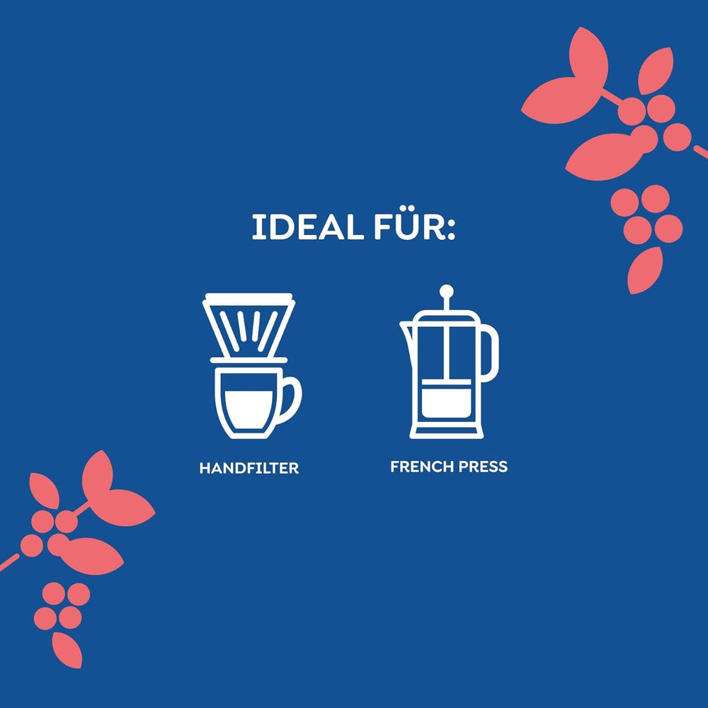 Melitta Manufaktur-Kaffee Guatemala Honig, Spezialitätenkaffee, 250 g, ganze Kaffeebohnen, ungemahlen, Single Origin Kaffee, zarte Trommelröstung, in Deutschland geröstet, Stärke 3 Kaffee Naty Shop