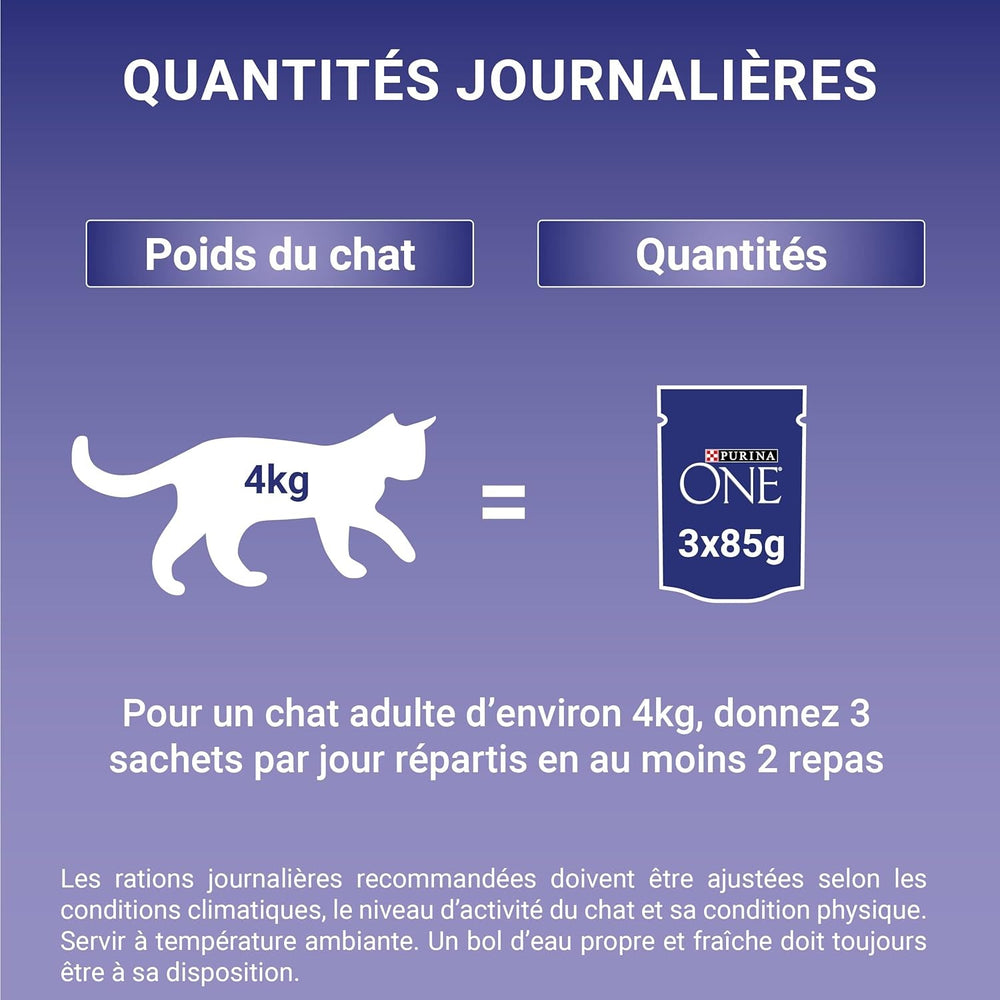 PURINA ONE | BIFENSIS | Hrană pentru pisici adulte sterilizate | Susține vitalitatea pisicii, oaselor, mușchilor și articulațiilor | În sos | Pliculețe cu rață, sardine, vită, prospețime | 1 bucată (8 x 85g)
