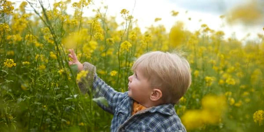 Hipp Bio-Früchtemüsli, Packung à 6 x 200 Gramm Cereale Naty Shop